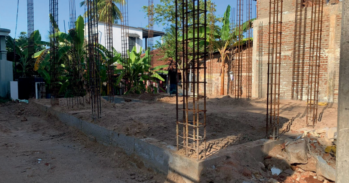 Commercial pest control