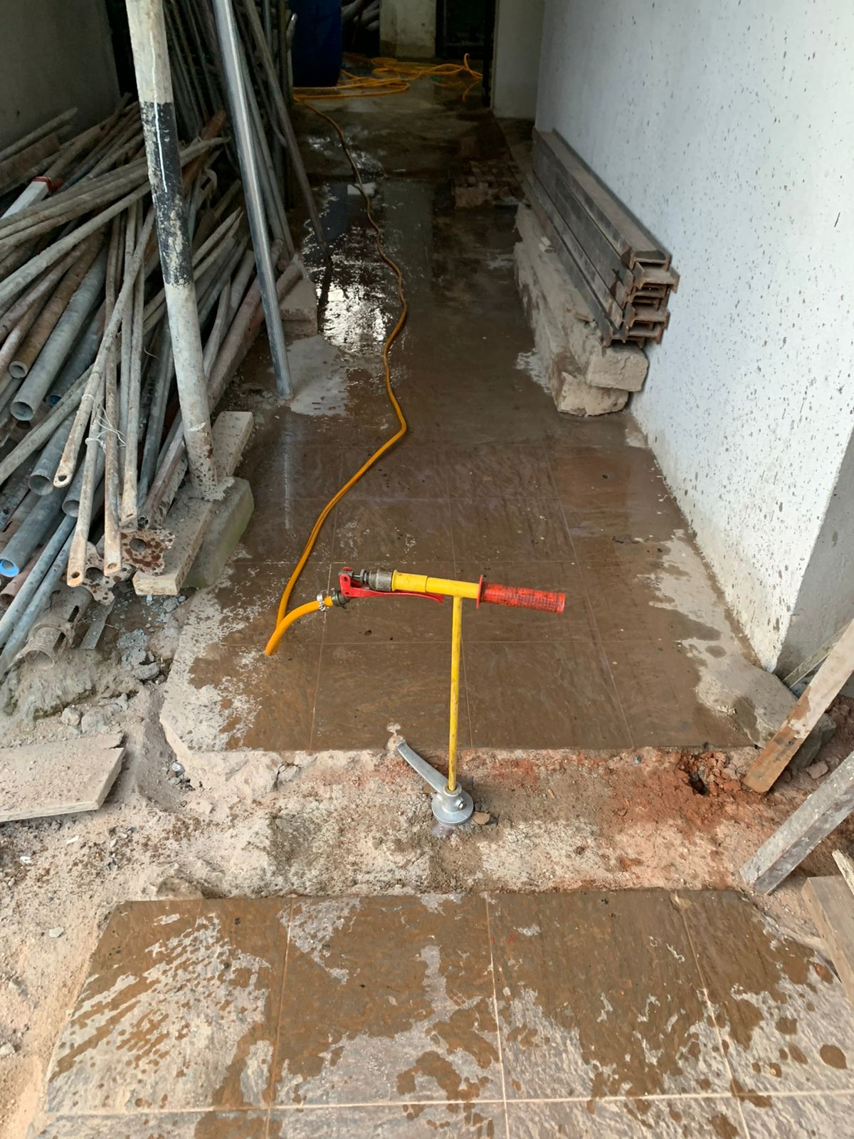Termite Treatment for New Construction in Sri Lanka