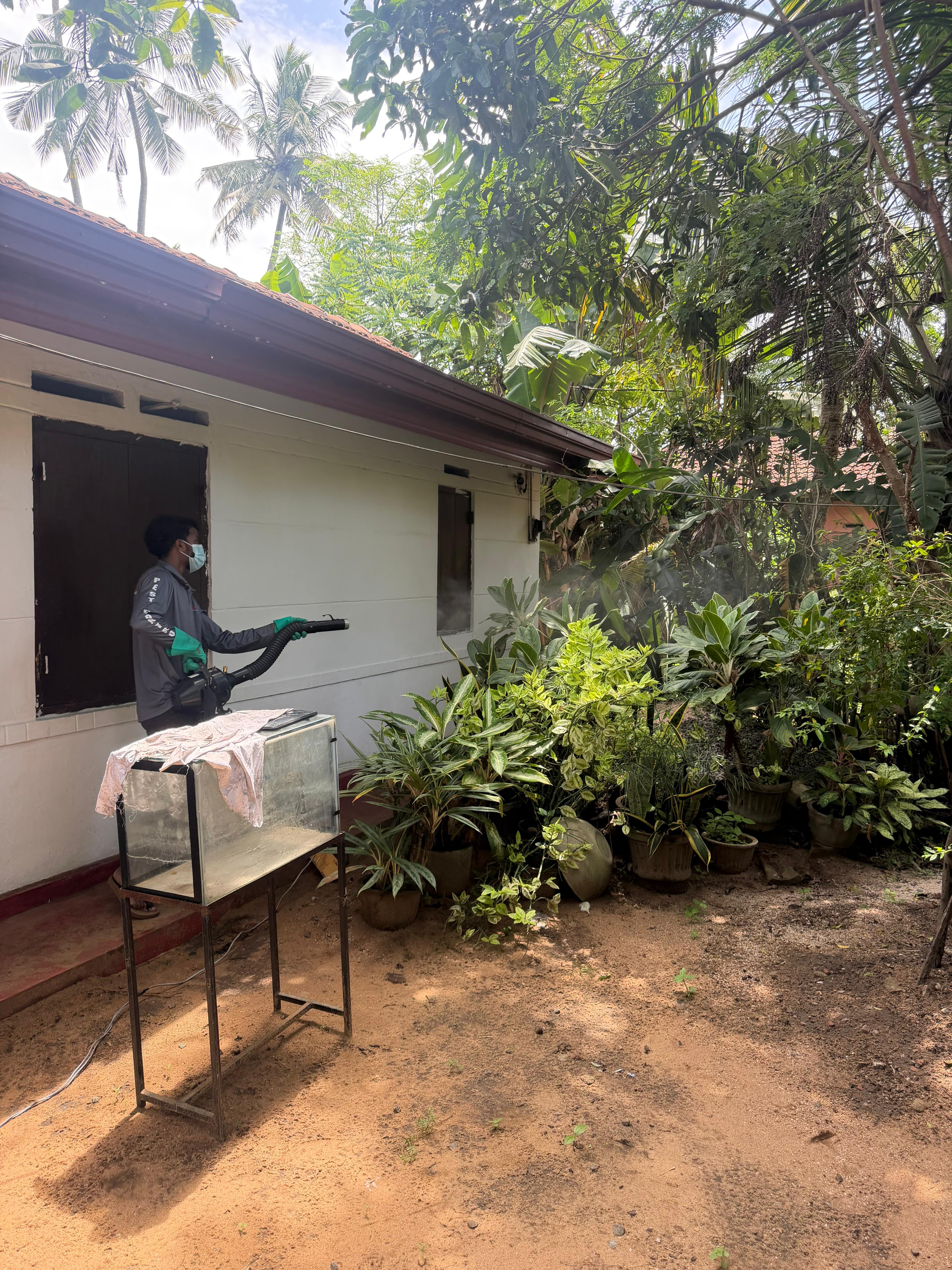 Dengue Prevention in Sri Lanka | Mosquito Control & Prevention Guide